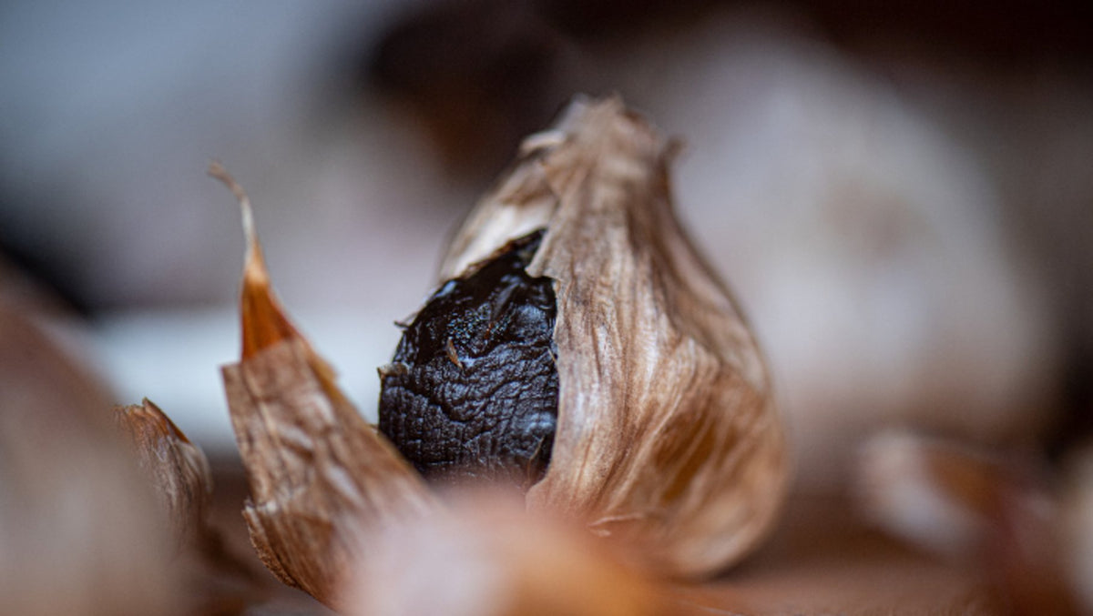 Ail noir de Bretagne 40g - Roellinger