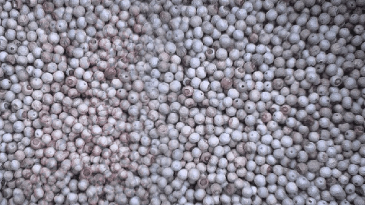 Poivre du Cameroun blanc 100g - Roellinger