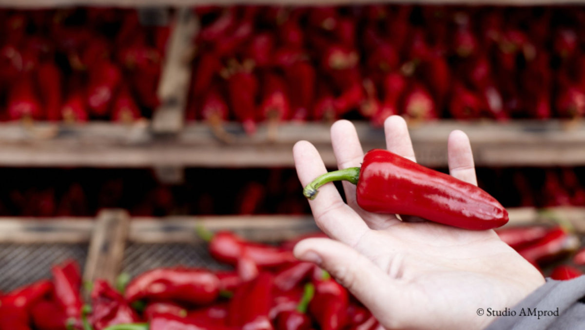 Piment d'Espelette 50g - Roellinger